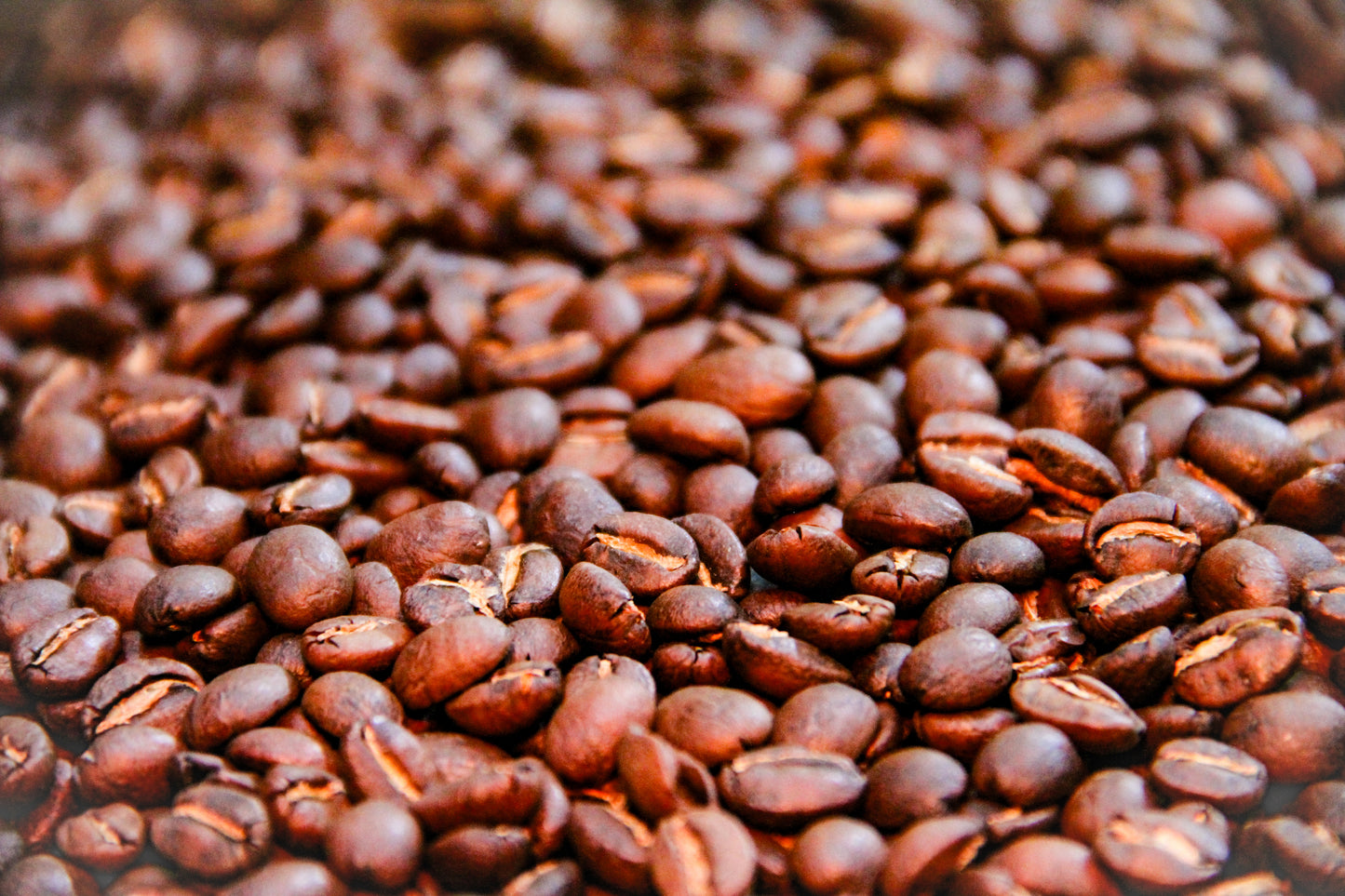 Hadot Specialty Whole Coffee Beans - 1 lb Bag
