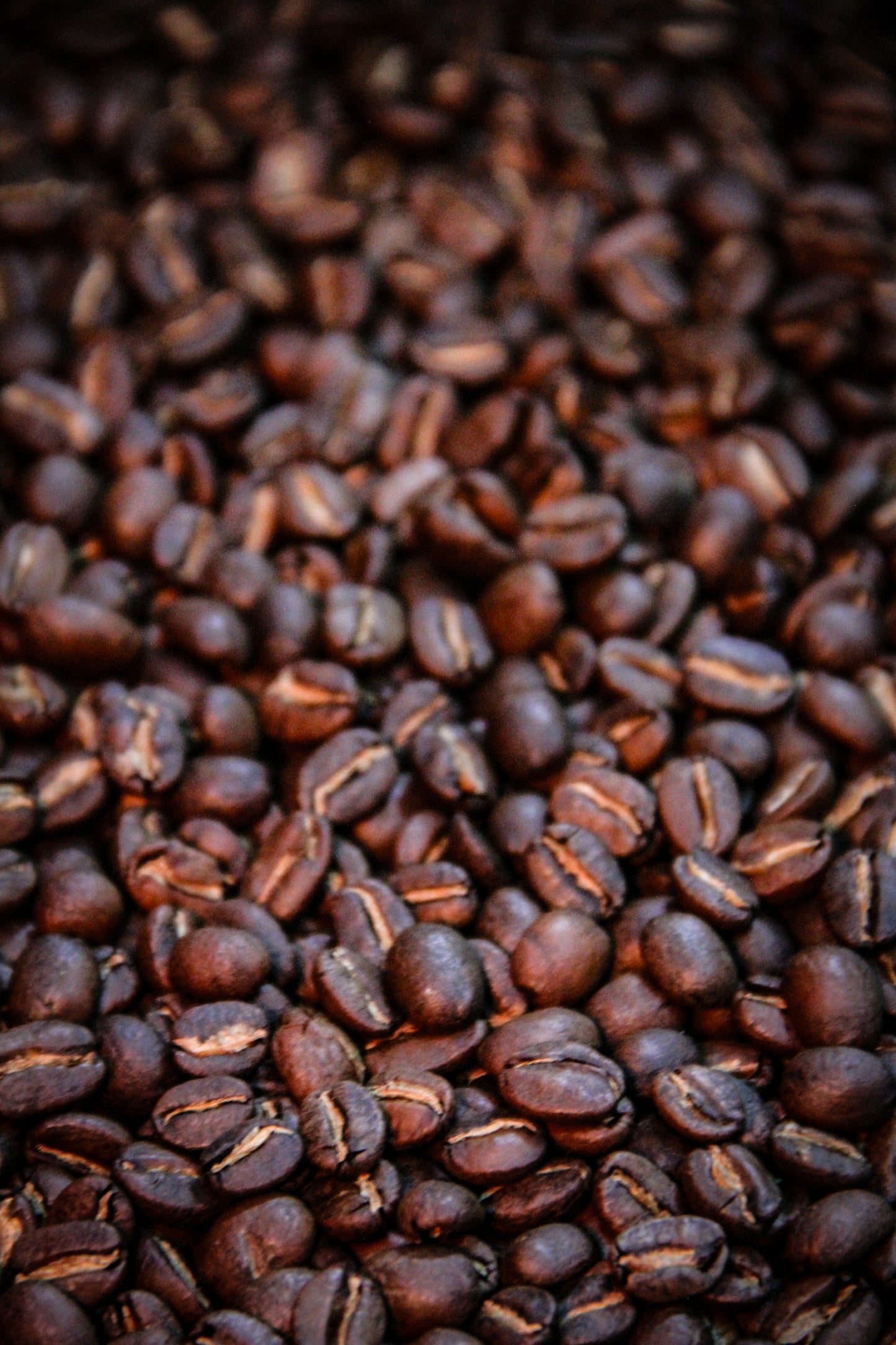 Hadot Specialty Whole Coffee Beans - 1 lb Bag